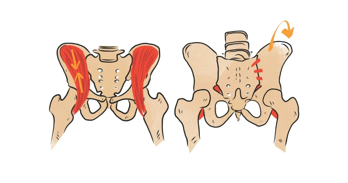 Everything You Need to Know About the Sacroiliac Joints and Sacroiliac Joint Pain