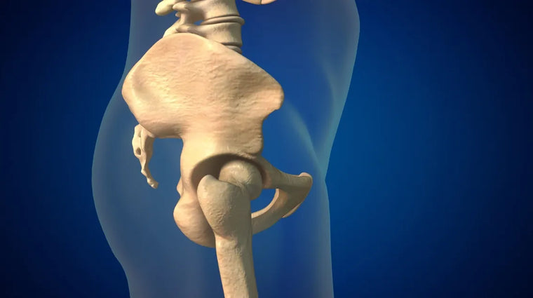 Anterior Pelvic Tilt: What Causes It and How to Fix It