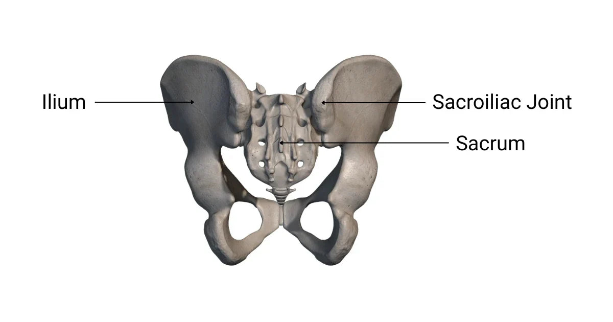 What Actually Causes SI Joint Pain and the Missing Piece Most Treatments Overlook