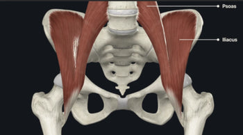 Understanding and Managing Hip Flexor Pain