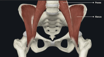 Understanding and Managing Hip Flexor Pain