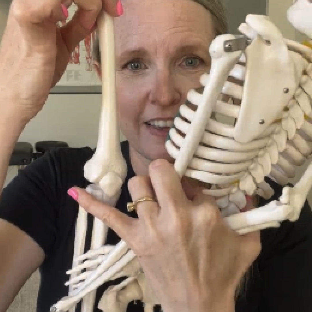 Person holding a skeleton model with 'Knee Pain' text above