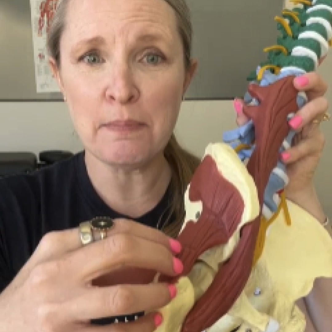 Person holding a model of a pelvis with text 'Outer Hip Pain' above.
