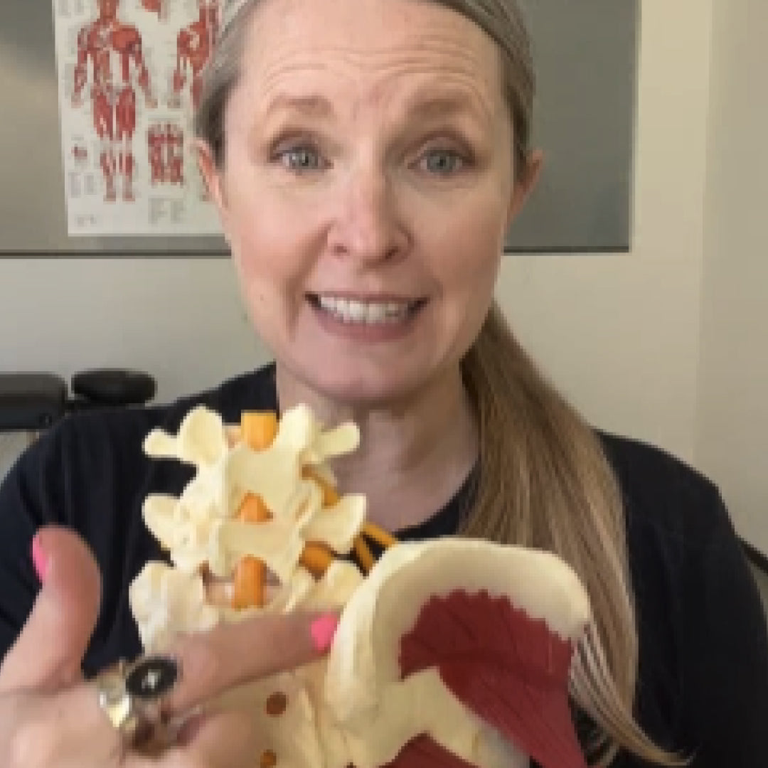 Person holding a model of a spine with SI joint pain text above